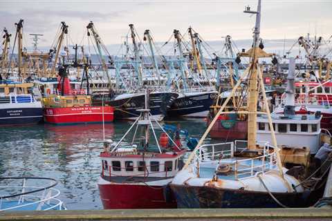England’s most lucrative fishing port defies Brexit doom-mongers by landing record £43.6million of..
