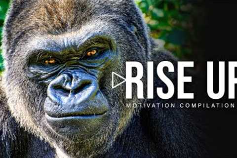 RISE UP - Best Motivational Speech Video Compilation | 30-Minutes of the Best Motivation