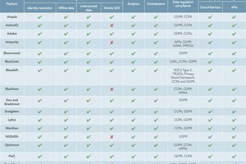 Does your organization need a customer data platform or CDP?