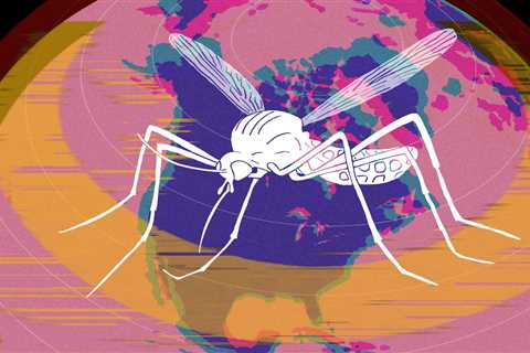 Climate Change May Push the US Toward the ‘Goldilocks Zone’ for West Nile Virus