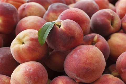 The Peach Truck returns to Central Indiana this year