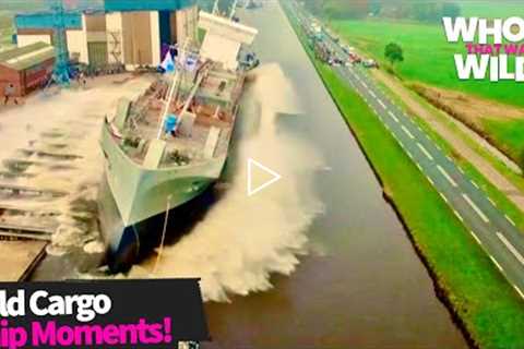 Wild Footage Caught From Cargo Ships! | Whoa That Was Wild