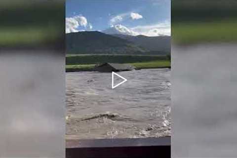 Home being swept along the Yellowstone River