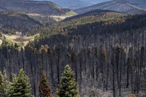 New Mexico wildfires leave Las Vegas facing water shortage