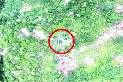 This Drone Accidentally Made A Chilling Discovery After Spotting This Deep Inside A Jungle