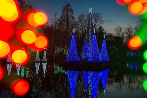 Columbus Zoo offering sensory-friendly lights event