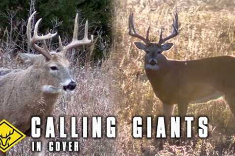 Calling GIANTS in Cover | 2 Big Bucks Closing In FAST...