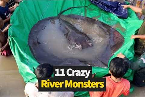 Scary River Monsters Caught On Camera