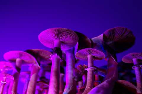 Facing Death Without Fear: Psychedelics for End-of-Life Care