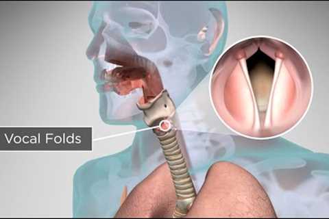 #NIDCD: How Does the Human Body Produce Voice and Speech?