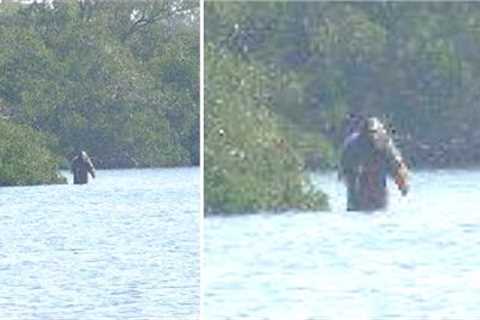 This Man Noticed Something Moving In This River But Soon Encountered Something Unexpected