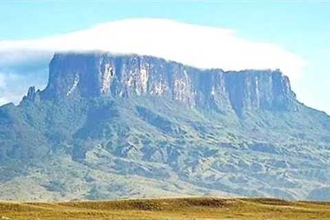 Scientists Reveal The Truth About What They Found At The Top Of This Untouched Mountain In Venezuela