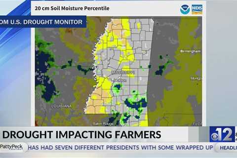 Drought continues to impact Mississippi farmers