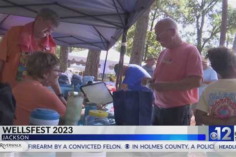 Hundreds attend annual WellsFest in Jackson