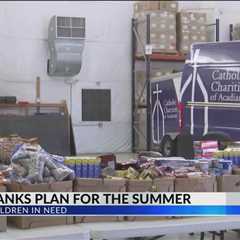 Food banks prepare for increased calls this summer