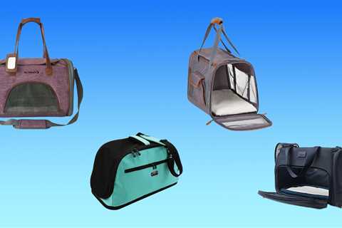 The 4 best airline-approved cat carriers of 2024, tested and reviewed