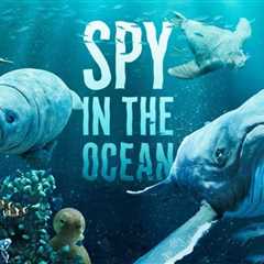 Spy in the Ocean, A Nature Miniseries Season 1: How Many Episodes and When Can You Watch?