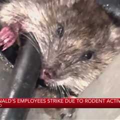 Oakland McDonald’s employees strike due to rodent activity