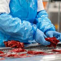 What the Bell boss expects when it comes to meat substitutes and laboratory meat – •