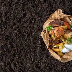 A Detroiter’s guide to urban composting