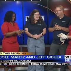Interview: Mississippi Aquarium welcomes guests to see new facility, experience virtual reality and