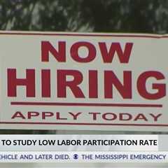 Mississippi Senate to study low labor participation rate