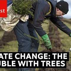 Climate change: the trouble with trees