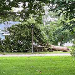 Michigan taxpayers hit by summer storms have days left to file ’23 returns