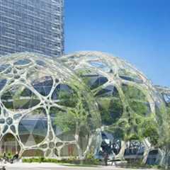 Amazon’s Own Carbon Offset Standard Sparks Concerns Over Market Confusion