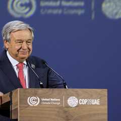 UN chief appeals for global action to tackle deadly extreme heat
