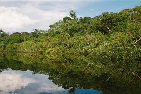 Scientists take a portable laboratory into the Amazon to study adaptation of trees to drought