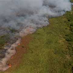 Climate change made the ‘supercharged’ 2024 Pantanal wildfires 40% more intense