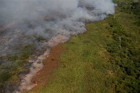 Climate change made the ‘supercharged’ 2024 Pantanal wildfires 40% more intense