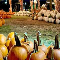 Fall Festivals in Tarrant County, Texas: A Must-Visit for Autumn Enthusiasts