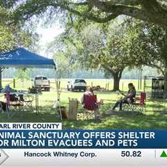 'We had to go'; Milton evacuees and pets seek shelter in Pearl River County