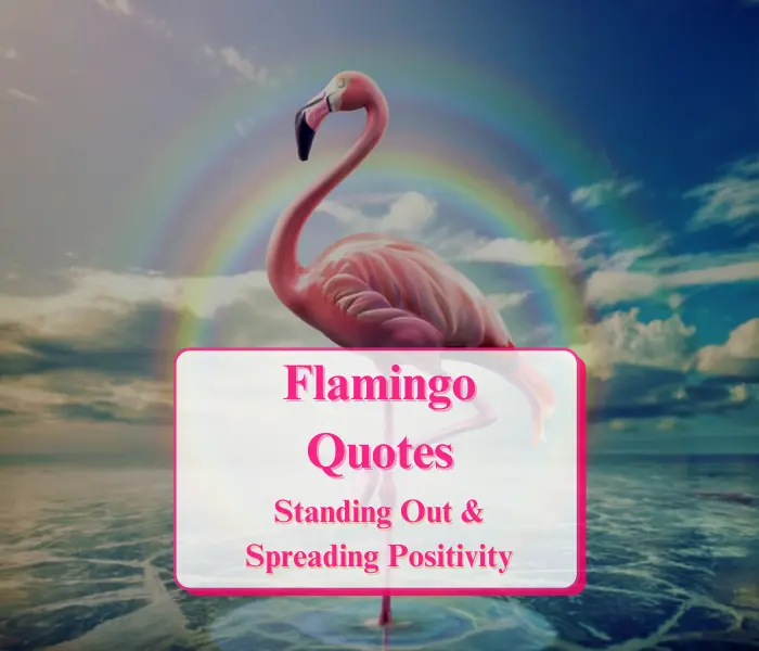 Flamingo Quotes to Inspire Boldness, Beauty - Art Of Verse