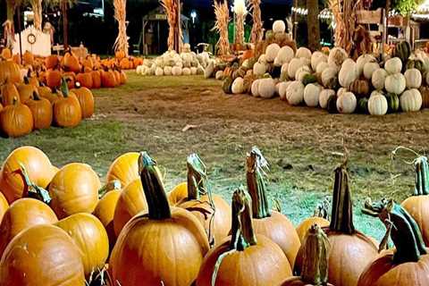 Fall Festivals in Tarrant County, Texas: A Must-Visit for Autumn Enthusiasts