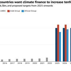 COP29: What is the ‘new collective quantified goal’ on climate finance?