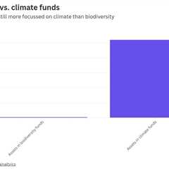 Biodiversity market takes off at COP16, in shadow of carbon credit chaos