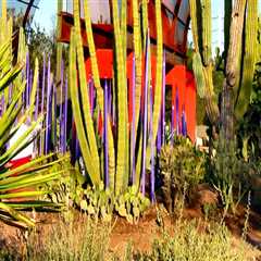 Exploring the Natural Wonders of Central Arizona