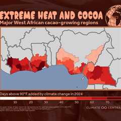 Climate Crisis Is Causing a Chocolate Market Meltdown: Study