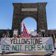 Trump Signs Executive Order Handing U.S. Public Forests Over to Private Logging Industry