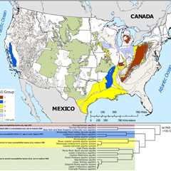 Scientists Map Where Orphan Wells Threaten Aquifers in the U.S.