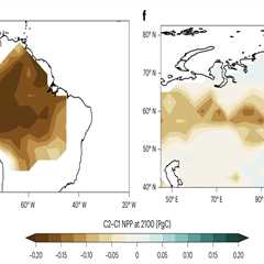 ‘Significant’ risk of Amazon forest dieback if global warming overshoots 1.5C