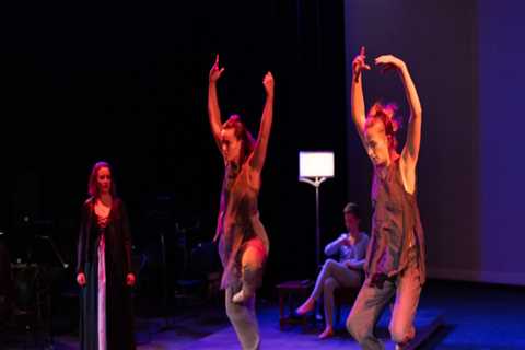 Unleashing Creativity: A Guide to the Great Salt Lake Fringe Festival in Salt Lake County, Utah