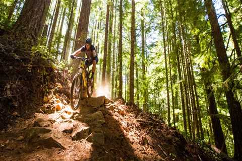 The Ultimate Guide to Biking in Washington County, Oregon