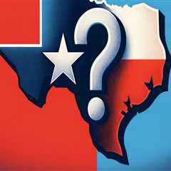 The Impact of Diversity on Democracy in Southeast Texas