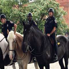 The Power of Partnerships: How Police and Local Businesses Work Together in Central Maryland
