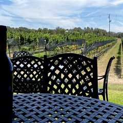 Eco-Friendly Celebrations in West Central Texas: Making Special Occasions Sustainable
