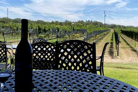 Eco-Friendly Celebrations in West Central Texas: Making Special Occasions Sustainable